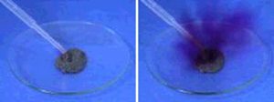 In a photo sequence, a dropper puts liquid in a dark powder on a clear dish. In the second photo, a purple vapor appears over the dark powder on a clear dish.