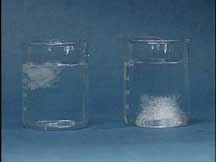 Two beakers, one with a floating ice cube and the second with a deuterium ice cube at the bottom of the beaker