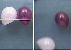 A white balloon and a purple balloon are held up side by side with a rod. In the second photo, the white balloon has fallen more (faster) compared to the purple balloon.