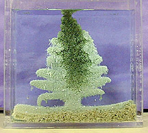 Green, tree-shaped solid submerged in blue liquid and coated with pale crystals inside a rectangular container.