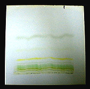 Horizontal bands of green and yellow on a sheet of paper
