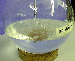A close up view of a round bottom flask containing a boiling clear and colorless liquid labeled "Acetone", and a thermometer resting on a cork ring.
Jim
