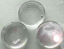 Three petri dishes with clear liquids: one dish contains a silver solid, one contains a black solid, and one shows a pink flame.