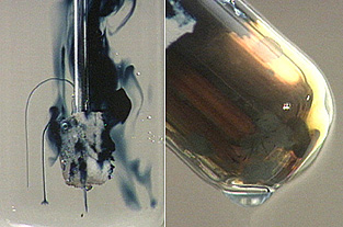 The first photo shows a tube containing a mixture of blue liquid and a pale substance at the bottom of a tube. In the second photo, the bottom of the tube contains a brown-orange substance and an  upper layer of dark blue liquid.