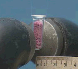 A container with pink solid between magnets, and a ruler showing measurements in millimeters.