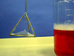 A geometric model with a layer of soap film connected to a rod, and a beaker of red liquid with an upper layer of foam.