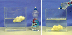 A two-photo sequence: A cotton wad floats in clear liquid inside a plexiglass tank, and a bottle labeled "Ivory" is next to the tank. In the second photo, the labeled bottle's nozzle is tilted toward the liquid inside the tank, suds appear on the liquid's surface, and the cotton is at the bottom of the tank.