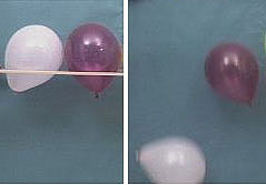 A white balloon and a purple balloon are held up side by side with a rod. In the second photo, the white balloon has fallen more (faster) compared to the purple balloon.
