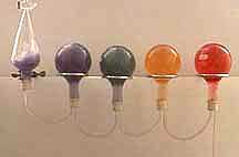 A series of interconnected round flask bottom flasks with indicator show different value of pH.