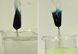 Blue mixture in a bag over a beaker of clear liquid, and a blue mixture in a bag over a beaker with yellow liquid