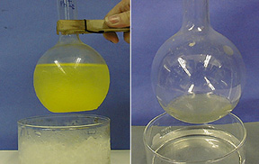 In the first photo, a hand uses a wooden clamp to hold a round bottom flask with yellow liquid above a crystallizing dish with ice water. The second photo shows a round  bottom flask with cloudy liquid above a crystallizing dish with clear liquid.