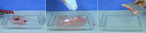 Red oil is poured from a bottle into a pan with clear water. In the second photo, a white solid is poured into the red liquid which is dispersing into the clear liquid. The third photo shows a hand using a plate to scoop the solid formed by the red and white liquids.