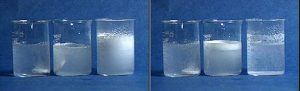 Two photos, each showing three beakers with liquids. In the first photo, a beaker with a white solid at the bottom of the beaker producing some gas, a beaker with a white solid and more gas making the liquid cloudy, and a beaker with white foam in its upper layer of cloudy liquid. In the second photo, a beaker with a white solid at the bottom of the beaker, a beaker with foam in its upper layer of cloudy liquid, and a beaker with bubbles.