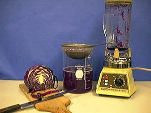 Red cabbage and a knife sit atop a cutting board, a beaker with purple liquid and a strainer, and a capped blender with red cabbage pulp and liquid in the pitcher.