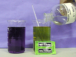 A  beaker with purple liquid, a beaker with green liquid and a stir rod, and a green and blue package labeled "Alka Seltzer." A hand pours a bottle labeled "Sodium Hydroxide" into the beaker with green liquid.