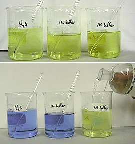 A photo sequence shows color change in three beakers before and after addition of a liquid.