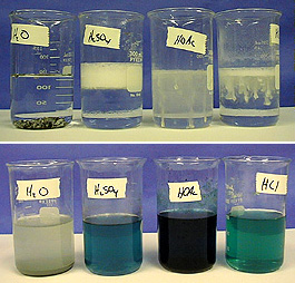 The top photo shows a beaker labeled "H2O" with clear liquid and dark solid substances in the bottom of the beaker. A beaker labeled "H2SO4" contains liquid with foam. A beaker labeled "HOAC" contains cloudy liquid. A dissolving substance with white streaks appears in the last beaker with an identifying label. The bottom photo shows a beaker labeled "H2O" with cloudy gray liquid, a beaker labeled "H2SO4" with blue liquid, a beaker labeled "HOAC" with dark liquid, and a beaker labeled "HCl" with blue liquid.