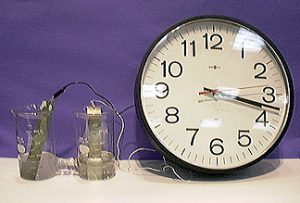 A special two part joined beaker with clear liquids: Each side contains a metal strip with leads attached. The leads are attached to cables connected to a clock.
