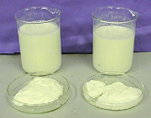 Two beakers of a white liquid and two semi-solid masses in petri dishes