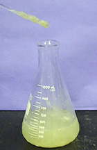 A stir rod with precipitate over a yellow liquid