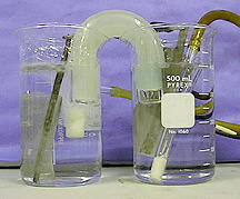 Two beakers containing clear and colorless liquids with electrodes, fritted gas tubes, and a salt bridge