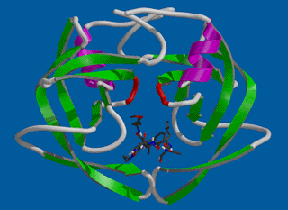 A graphic simulation of an appearance of a HIV virus
