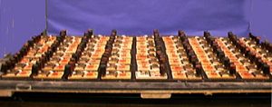 An array of mouse traps with black stoppers inside a plexiglass case atop a wooden platform.