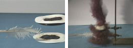 A white feather over a brown powder on white paper. A column of purple smoke rises from brown solid on a tray held by a stand.