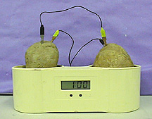Two potatoes, each with electrodes and attached wires, sit in a white base that displays time.