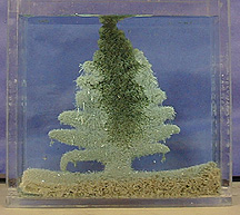 Green, tree-shaped solid submerged in blue liquid and coated with pale crystals inside a rectangular container.