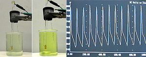 A computer display shows a periodic measurement produced in a yellow liquid with a wire and electrodes.