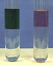 Two test tubes of layered liquids with one darker and one lighter liquid