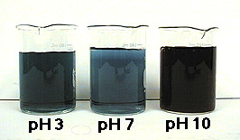 Three colored liquids reflect different pH in a mixture.