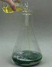 A yellow liquid is poured into an Erlenmeyer flask, and the flask contains a metallic solid.