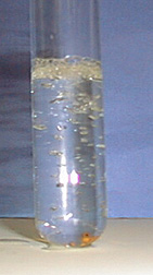 Bubbles form in a mixture inside a glass test tube. An orange solid is seen in the bottom of the container.