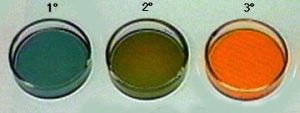 Number 1 with a degree symbol appears above a dish with green liquid. Number 2 with a degree symbol appears above a container with yellow-green liquid. Number 3 with a degree symbol appears above a dish with orange liquid.