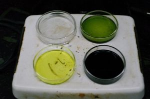 Four petri dishes atop a white surface:  a dish with a colorless liquid, a dish with green liquid, a dish with yellow liquid, and a dish with dark colored liquid