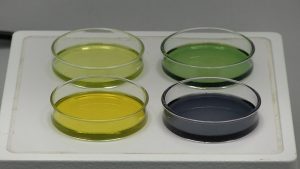 Four petri dishes rest on a hot plate surface: one with clear yellow-green liquid, a second with clear green liquid, a third with clear yellow liquid, and a fourth with clear dark blue liquid.