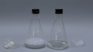 Two Erlenmeyer flasks flanked by petri dishes with solids with a gray background. The left flask contains an upper layer of suds and a clear liquid. The right flask contains clear liquid and white solid.