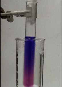 A clamp holds a tube inside a beaker with ice water. An upper layer of purple liquid and a lower layer of red liquid are seen inside the tube.