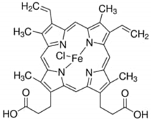A structural drawing of a "hemin" molecule
