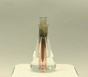 A flask with clear liquid contains a tube with a copper-colored solid coating. Brown specks and solids appear in the upper portion of the tube.