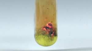 A tube containing an upper layer of orange-yellow gas, a mid-layer of burning black embers, and a green substance in the lower layer