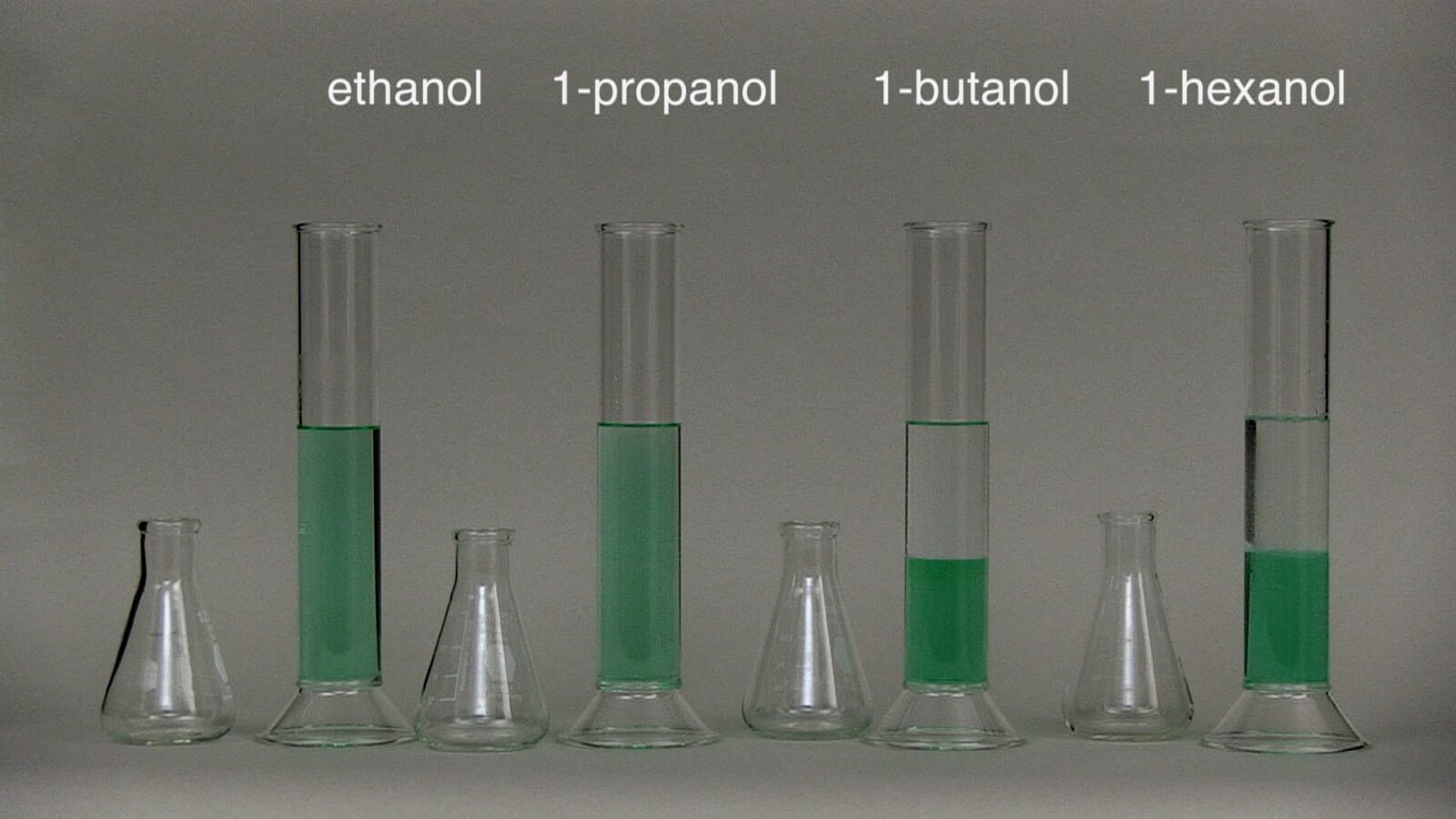 Four ungraduated cylinders with mixtures of green colored water and different alcohols are shown. The smaller chain length alcohols in the two tubes on the left mix with the green water. The longer chain length in the two tubes on the right do not.
