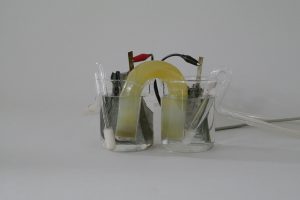 Each end of a salt bridge is placed in a beaker with clear liquid. Leads are placed on the strips of metals inside the beakers. The beakers also contain fritted glass fittings that carry gases.